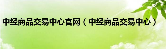 中经国际招标集团怎么样（中经国际招标集团有限公司官网）