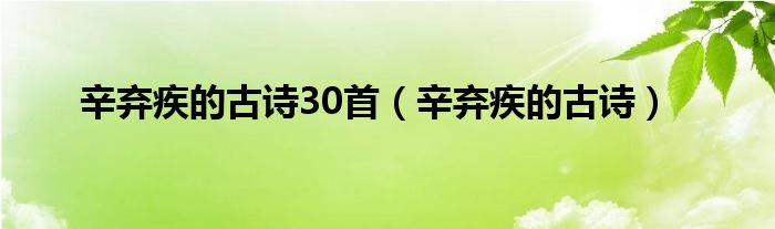 辛弃疾的诗有哪些?诗句是什么（辛弃疾的古诗100首）