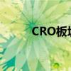 CRO板块震荡反弹 昭衍新药涨停