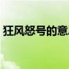 狂风怒号的意思四字成语（狂风怒号的意思）