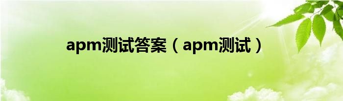 apm测试软件手机版（apm测试软件）