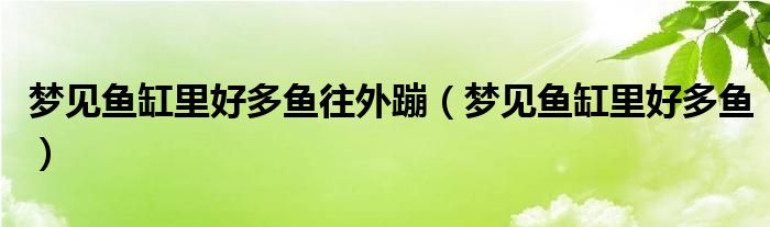 梦见鱼缸里的鱼活蹦乱跳（梦见鱼缸里好多鱼水都出来了）