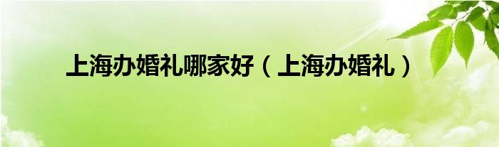 上海办婚礼最好的酒店（上海办婚礼场所）