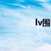 lv围巾真假辨别（lv围巾）