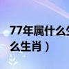 77年属什么生肖今年多大了2023（77年属什么生肖）