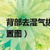 背部去湿气拔罐位置图解（背部去湿气拔罐位置图）