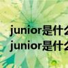 junior是什么意思中文翻译是什么意思啊了（junior是什么意思）