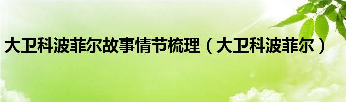 大卫科波菲尔故事梳理（大卫科波菲尔故事梗概200字）