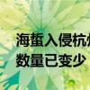 海蜇入侵杭州湾多家热电厂 上海石化：入侵数量已变少