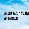 凯因科技：培集成干扰素α-2注射液增加适应症上市许可申请获受理