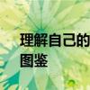 理解自己的文明（16）：华服锦绣（中）｜图鉴