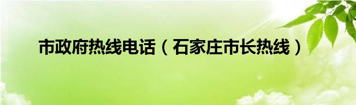 市政府热线电话（石家庄市长热线）