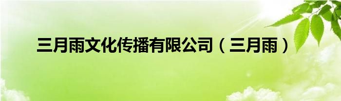 三月雨文化传播公司怎么样（三月雨集团董事长）