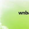 wnba是啥（wnba是什么）