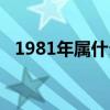 1981年属什么生肖（1987年属什么生肖）