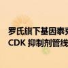 罗氏旗下基因泰克将收购锐格医药用于治疗乳腺癌的下一代CDK 抑制剂管线