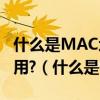 什么是MAC地址和IP地址?子网掩码有什么作用?（什么是mac地址）