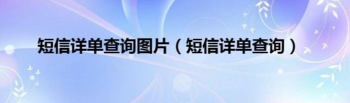 短信详单（短信详单可以查出收到的短信吗）