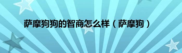 萨摩 幼犬（萨摩幼犬智商怎么样）