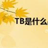 TB是什么品牌logo（tb是什么品牌）