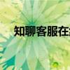 知聊客服在线咨询（知聊客服怎么联系）