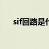 sif回路是什么意思（回路是什么意思）