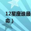 12星座谁最有公主气质（12星座谁最有公主命）