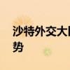 沙特外交大臣与埃及外长通电话 讨论黎以局势