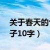 关于春天的句子10字拟人句（关于春天的句子10字）