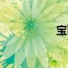 宝丽芙官网（宝丽芙）