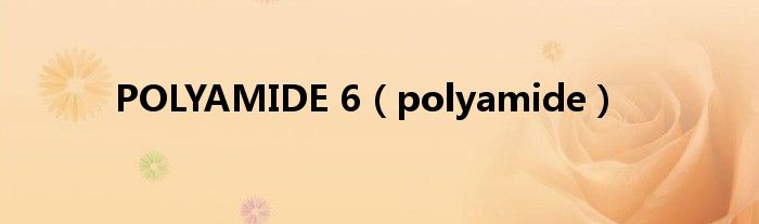 POLYAMIDE 6（polyamide）