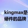 kingmax是什么牌子衣服（kingmax是什么硬件的品牌）