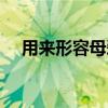 用来形容母爱的词语（形容母爱的词语）