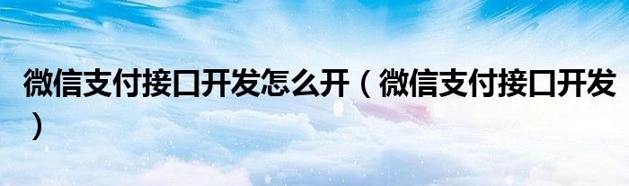 微信支付接口收费标准（微信支付接口是什么意思啊）