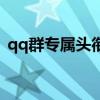 qq群专属头衔带符号（qq群专属头衔大全）