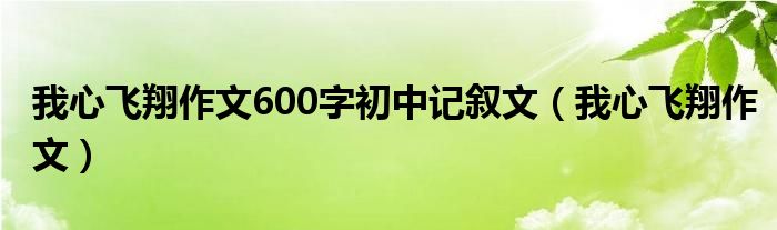 我心飞翔满分作文（我心飞翔上一句是什么）