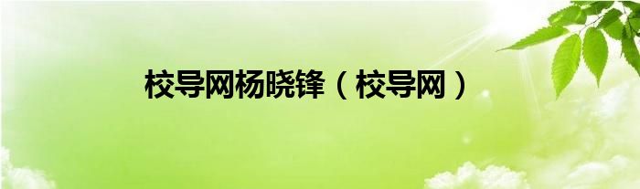 武汉校导网科技有限公司杨晓锋（杨晓锋校导创始人）