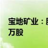 宝地矿业：股东拟减持公司股份不超过2700万股