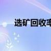 选矿回收率是什么意思（选矿回收率）