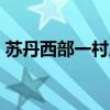 苏丹西部一村庄遭武装分子袭击 致20人死亡