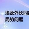 埃及外长同约旦外交大臣举行会谈 讨论中东局势问题