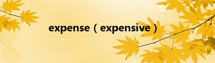 expense（expensive）