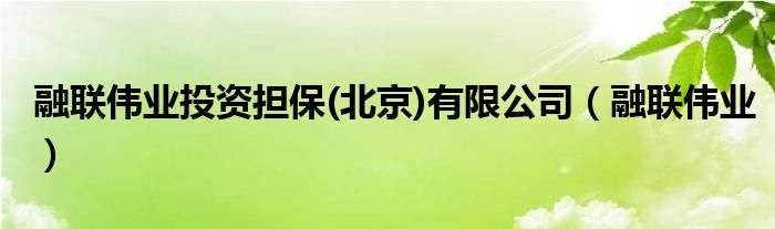 融联金融管理有限公司怎么样（融联金服）