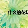 什么的花坛填空形容词（什么的花坛）