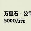 万里石：公司拟对控股子公司万锂新能源增资5000万元