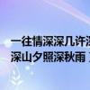 一往情深深几许深山夕照深秋雨什么意思（一往情深深几许深山夕照深秋雨）