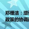 郑栅洁：增强宏观政策取向一致性 加强各类政策的协调配合