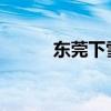 东莞下雪了吗2020（东莞下雪）