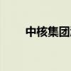 中核集团漳州核电1号机组获批装料