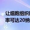 让细胞组织膨胀后再观察 新显微成像法分辨率可达20纳米